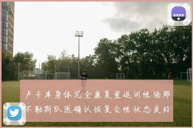 卢卡库身体完全康复重返训练场那不勒斯队医确认恢复合练状态良好