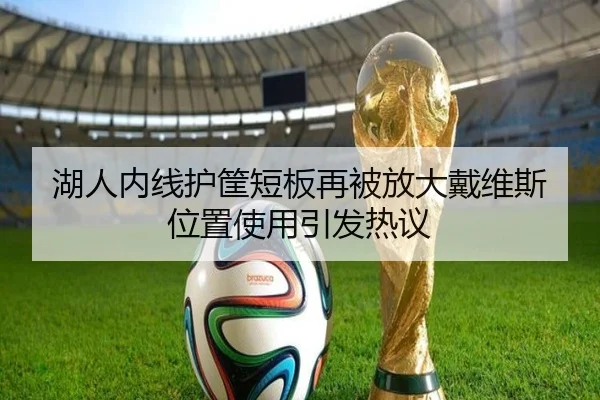 湖人内线护筐短板再被放大戴维斯位置使用引发热议（ACMilanSports）
